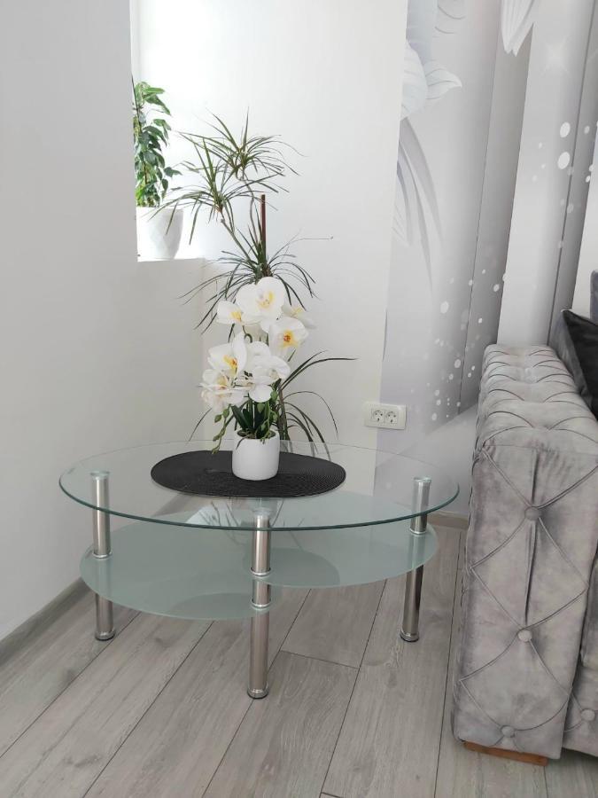 Apartment Marina 2 Kotor Ngoại thất bức ảnh
