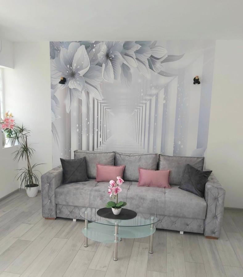 Apartment Marina 2 Kotor Ngoại thất bức ảnh