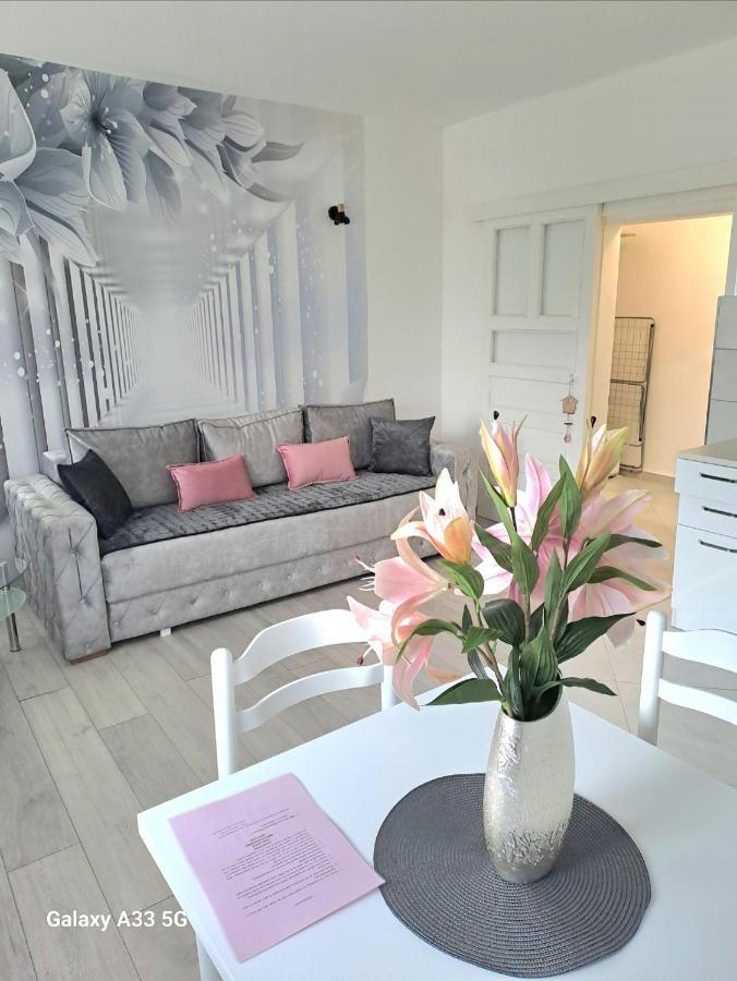 Apartment Marina 2 Kotor Ngoại thất bức ảnh