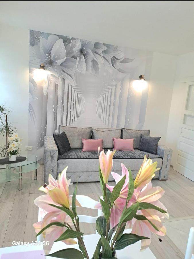 Apartment Marina 2 Kotor Ngoại thất bức ảnh