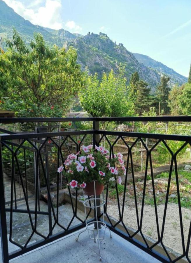 Apartment Marina 2 Kotor Ngoại thất bức ảnh