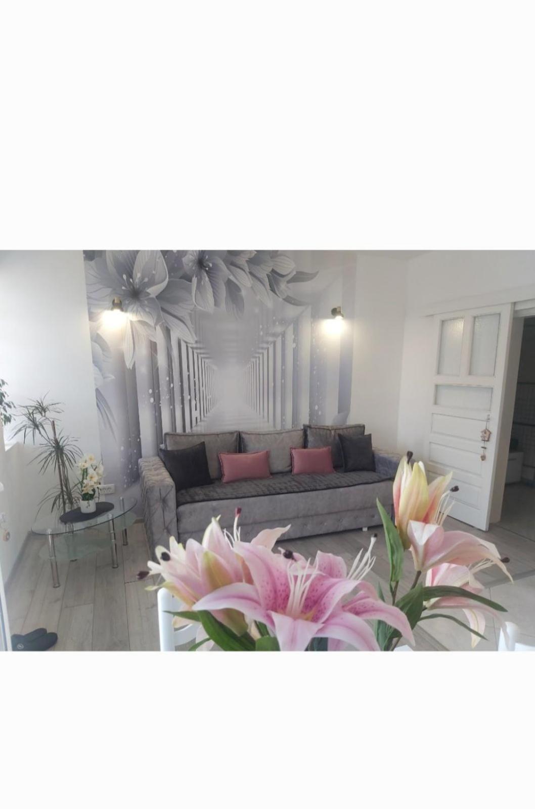 Apartment Marina 2 Kotor Ngoại thất bức ảnh